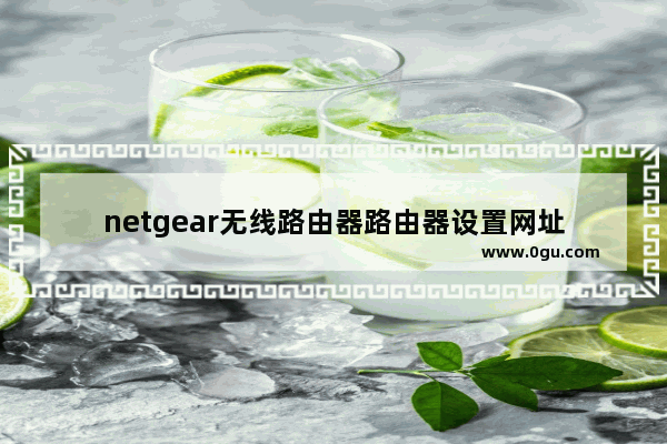 netgear无线路由器路由器设置网址