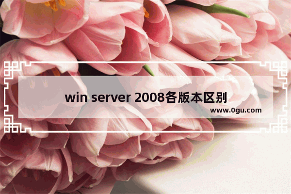 win server 2008各版本区别 看完好多人不淡定了