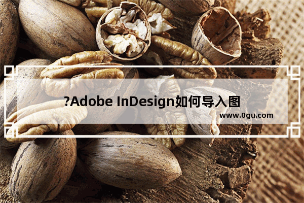 ?Adobe InDesign如何导入图片? InDesign添加图片素材的方法教程