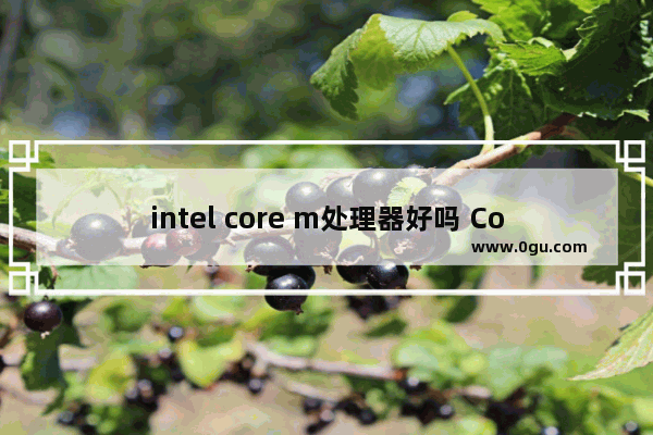 intel core m处理器好吗 Core M处理器的真正实力