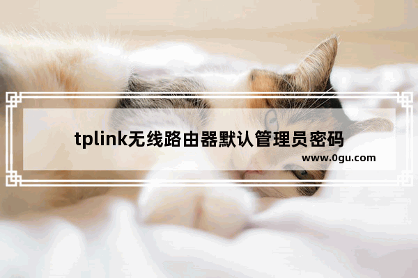 tplink无线路由器默认管理员密码