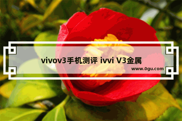 vivov3手机测评 ivvi V3金属质感外观+柔光美颜自拍