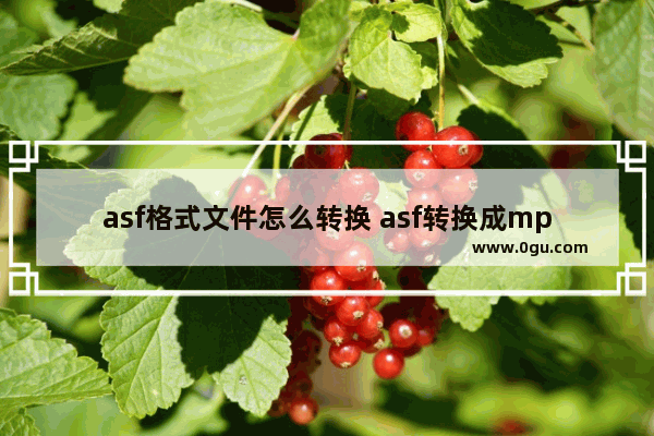 asf格式文件怎么转换 asf转换成mp4格式7个步骤