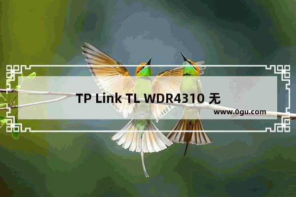 TP Link TL WDR4310 无线路由器打印服务器设置指南