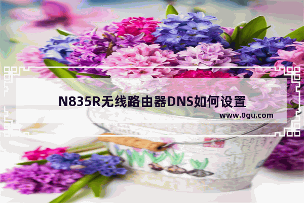 N835R无线路由器DNS如何设置