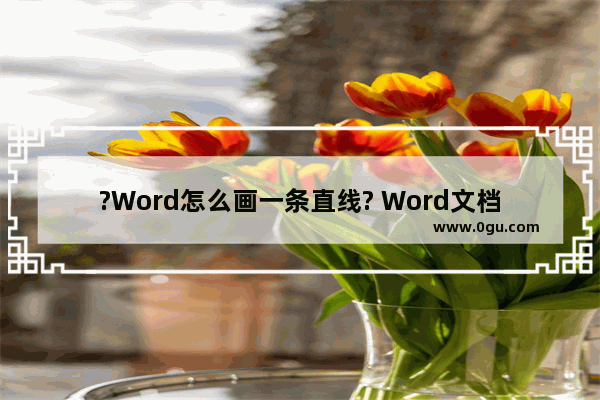 ?Word怎么画一条直线? Word文档画一条直线的方法教程