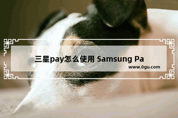 三星pay怎么使用 Samsung Pay使用攻略