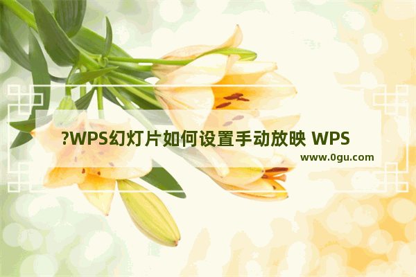 ?WPS幻灯片如何设置手动放映 WPS PPT电脑版设置手动放映的方法教程