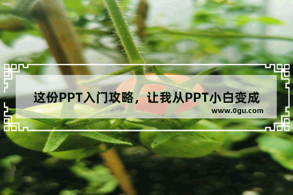 这份PPT入门攻略，让我从PPT小白变成月薪过万的大神，现分享出来