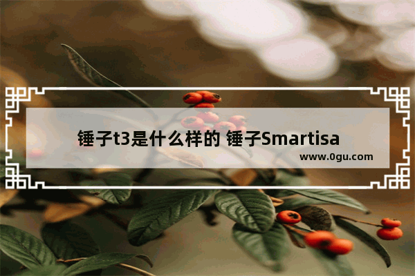 锤子t3是什么样的 锤子Smartisan T3概念设计介绍