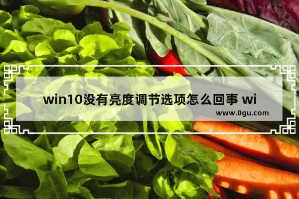 win10没有亮度调节选项怎么回事 win10找不到亮度调节