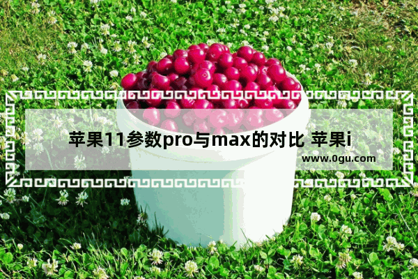 苹果11参数pro与max的对比 苹果iPhone 11/Pro/Max区别详解