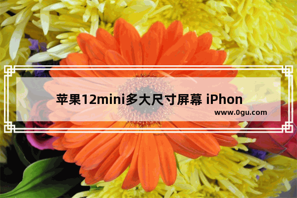 苹果12mini多大尺寸屏幕 iPhone 12 mini规格