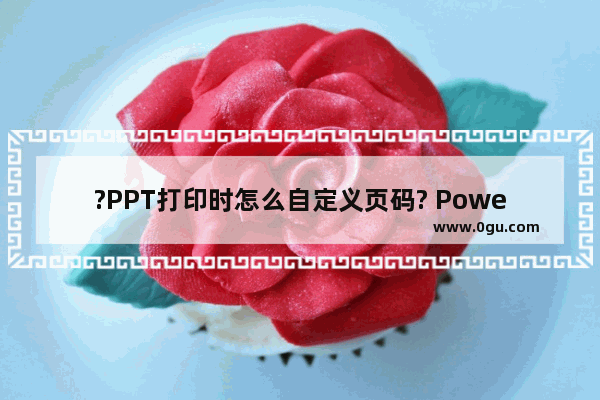 ?PPT打印时怎么自定义页码? PowerPoint演示文稿打印时自定义页码的方法教程