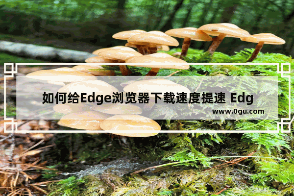 如何给Edge浏览器下载速度提速 Edge浏览器提升下载速度的方法