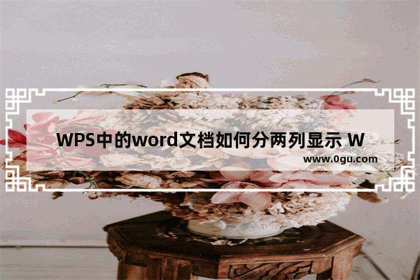 WPS中的word文档如何分两列显示 WPS word文档分两栏显示的设置方法