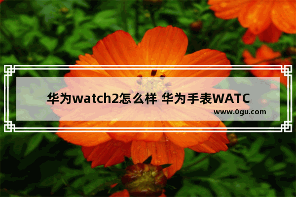 华为watch2怎么样 华为手表WATCH2测评