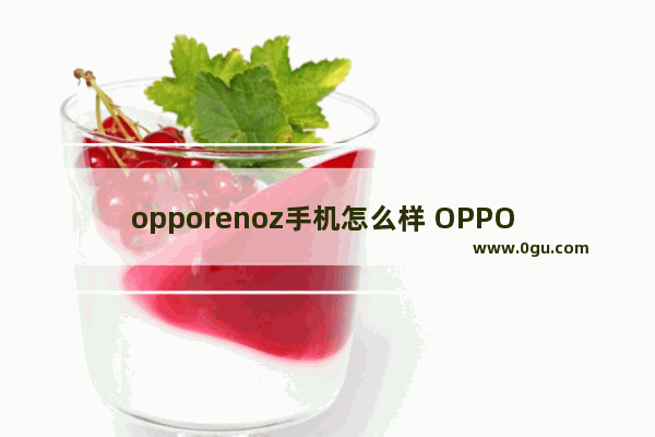 opporenoz手机怎么样 OPPO Reno Z实拍测评