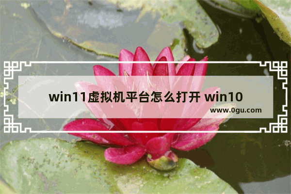 win11虚拟机平台怎么打开 win10专业版虚拟机怎么使用