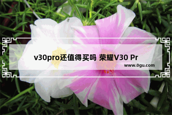 v30pro还值得买吗 荣耀V30 Pro优缺点解析