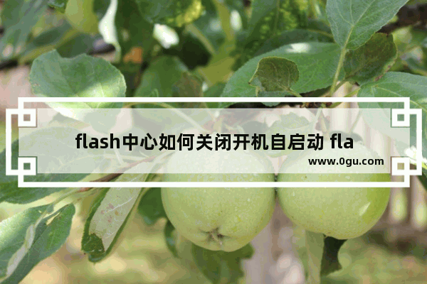 flash中心如何关闭开机自启动 flash中心关闭开机自启动的方法