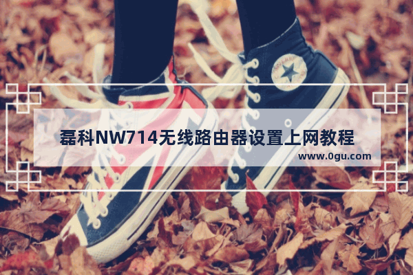 磊科NW714无线路由器设置上网教程