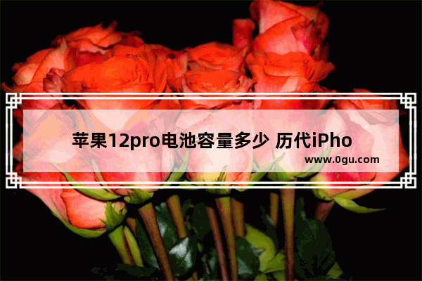 苹果12pro电池容量多少 历代iPhone电池毫安数整理