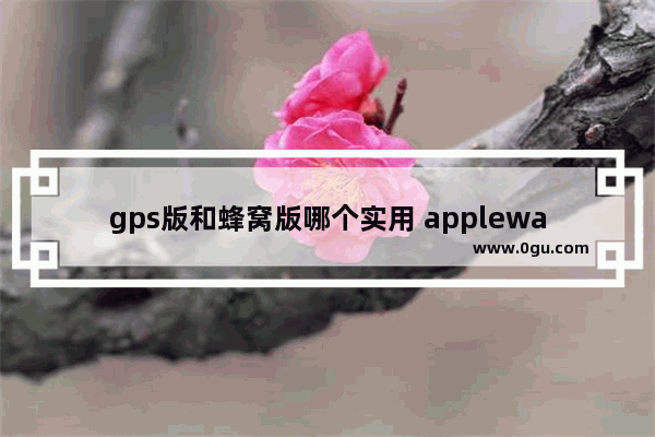 gps版和蜂窝版哪个实用 applewatch蜂窝版与GPS版对比