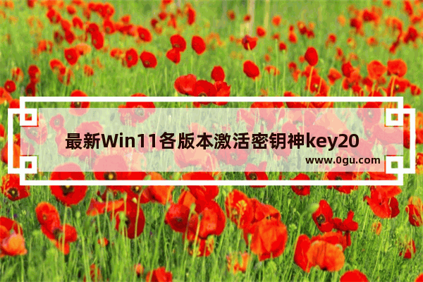 最新Win11各版本激活密钥神key2021 密钥对是什么