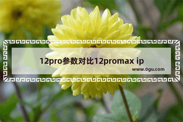 12pro参数对比12promax iphone 12pro和max区别