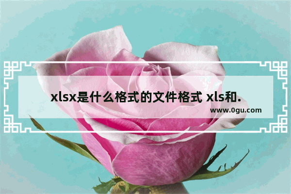 xlsx是什么格式的文件格式 xls和.xlsx格式的区别