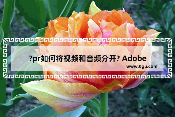 ?pr如何将视频和音频分开? Adobe premiere将视频和音频分开的方法教程