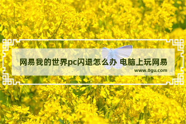 网易我的世界pc闪退怎么办 电脑上玩网易我的世界闪退