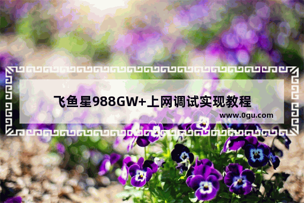 飞鱼星988GW+上网调试实现教程