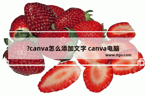 ?canva怎么添加文字 canva电脑版添加文字的方法教程