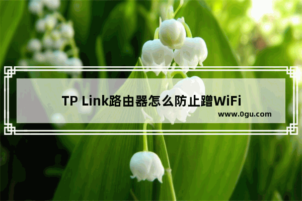 TP Link路由器怎么防止蹭WiFi