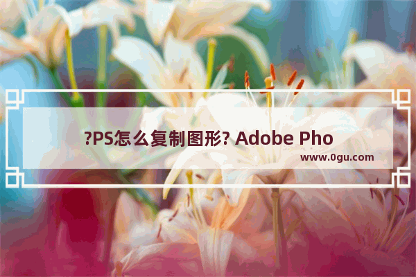 ?PS怎么复制图形? Adobe Photoshop复制图形的方法教程