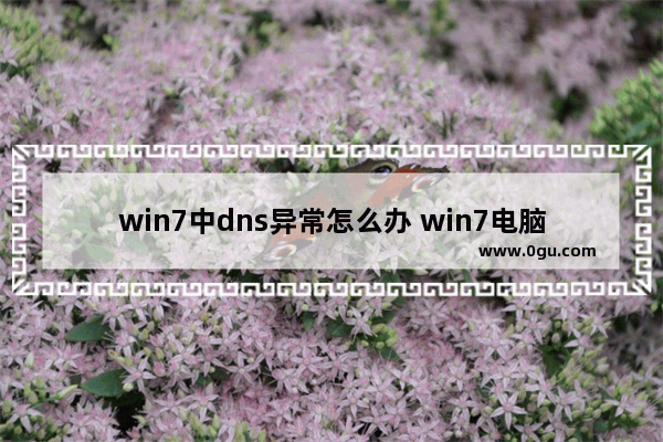 win7中dns异常怎么办 win7电脑dns存在问题怎么修复