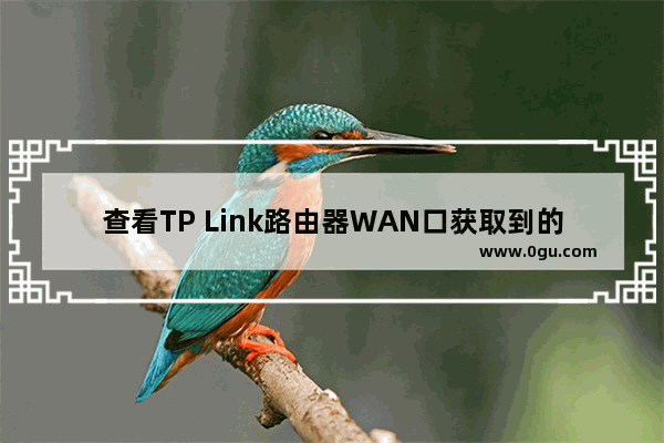 查看TP Link路由器WAN口获取到的IP地址方法