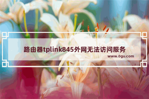 路由器tplink845外网无法访问服务器怎么办