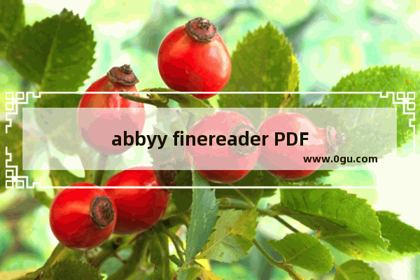 abbyy finereader PDF怎么识别多语言文档 abbyy finereader PDF 15识别多语言文档的方法