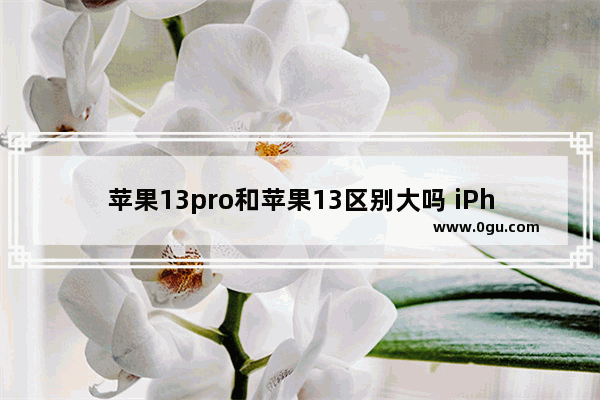 苹果13pro和苹果13区别大吗 iPhone13与iPhone13 Pro购机推荐