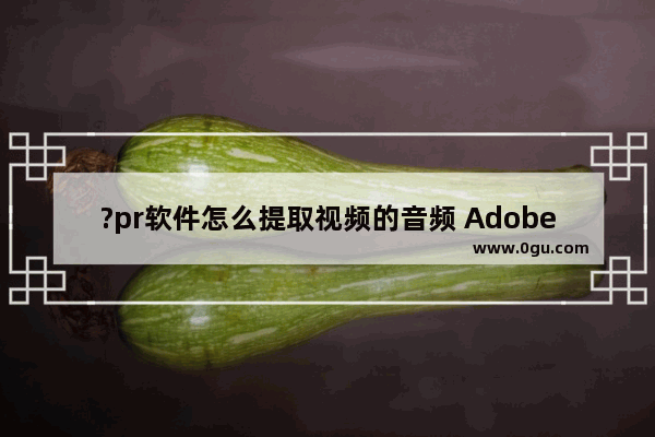 ?pr软件怎么提取视频的音频 Adobe premiere提取视频中音频的方法教程