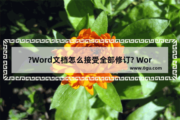 ?Word文档怎么接受全部修订? Word文档接受全部修订的方法教程