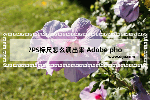 ?PS标尺怎么调出来 Adobe photoshop调出标尺的方法教程