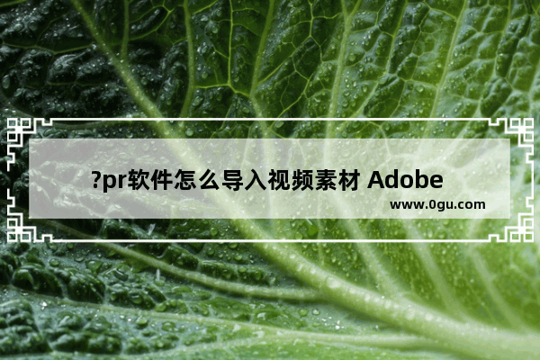 ?pr软件怎么导入视频素材 Adobe premiere导入视频素材的方法教程