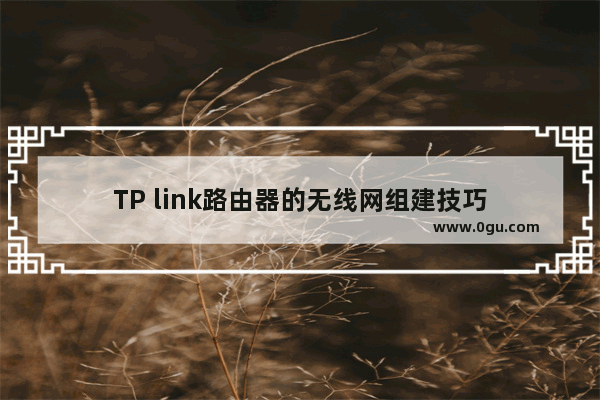 TP link路由器的无线网组建技巧