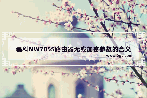 磊科NW705S路由器无线加密参数的含义