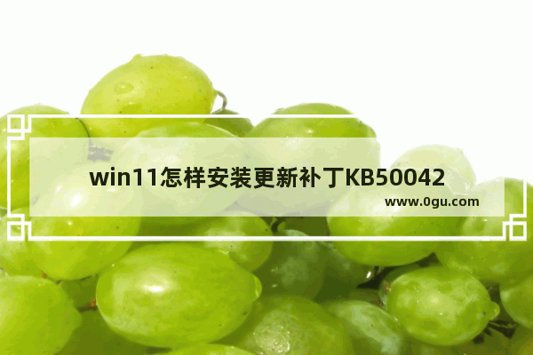 win11怎样安装更新补丁KB5004252 win10重置