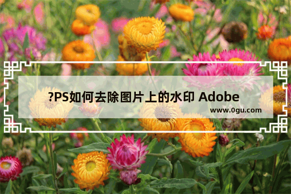 ?PS如何去除图片上的水印 Adobe Photoshop去除图片水印的方法教程